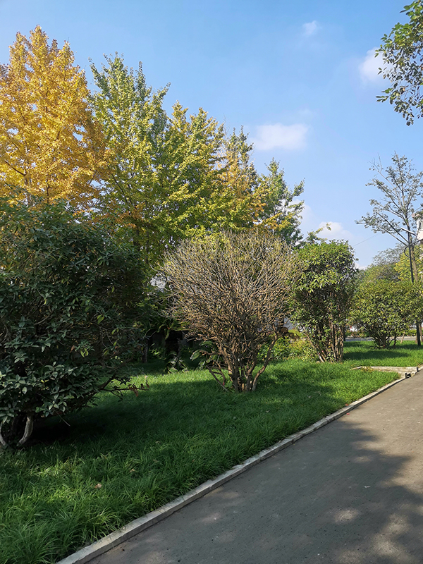 云博在线登录官网