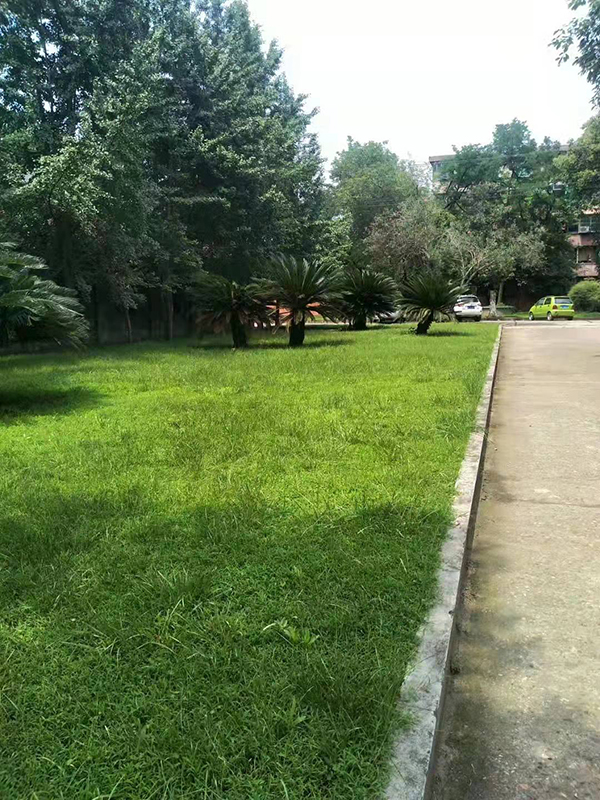 云博在线登录官网